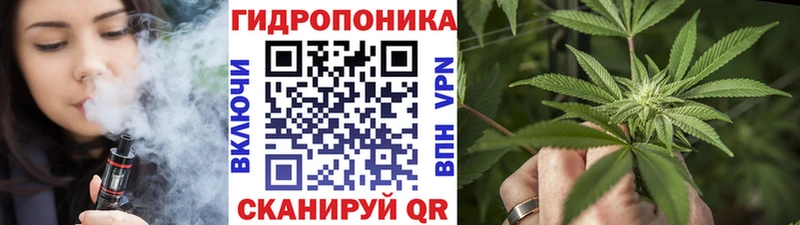 МЕГА сайт  продажа наркотиков  Верхнеуральск  Бошки марихуана Bruce Banner 
